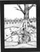 Tree and roots
