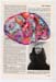 encyclopedia45